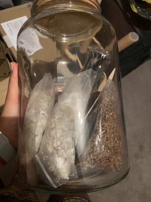 Terrarium kit novo