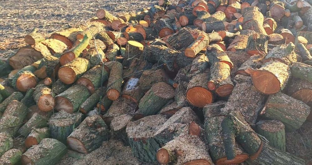 Drewno opałowe olcha topola DOWÓZ liściaste kominkowe