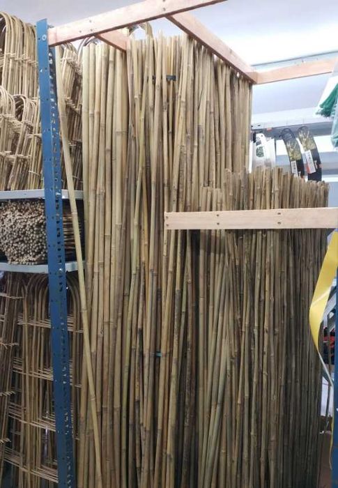 Tyczki drabinki podpory BAMBUSOWE TYCZKA DRABNKA PODPORA bambus