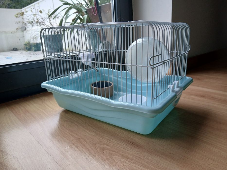 Kit completo hamster