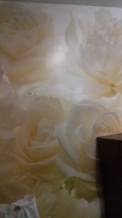 Сдам 1 комн.смарт-квартиру, район Урожая, без комиссии