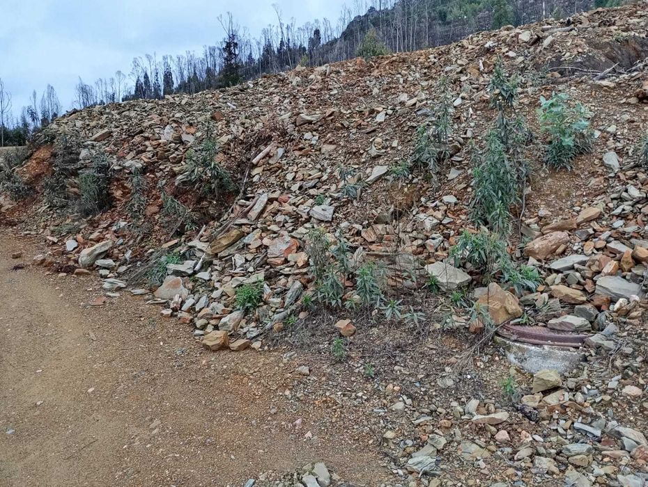 Dois Terrenos à Venda em Rabacinas – 2180m² (c/ Furo) + 5120m²