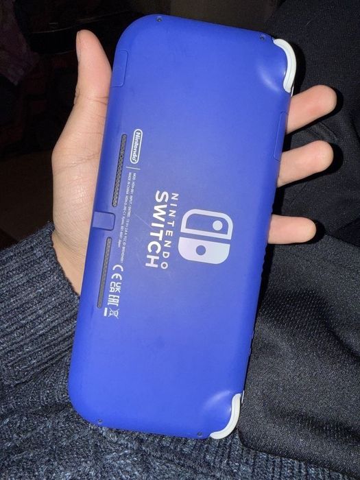 Nintendo switch lite