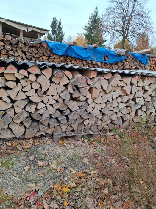 Drewwno Drzewo Opałowe Kominkowe