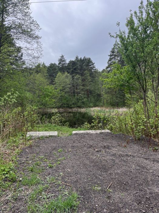 Будівля біля лісу