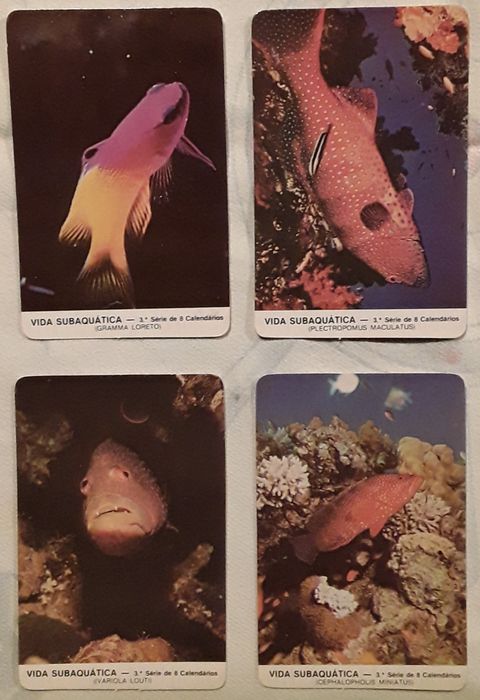 Calendários de bolso 1987 - Tema: Vida Subaquática