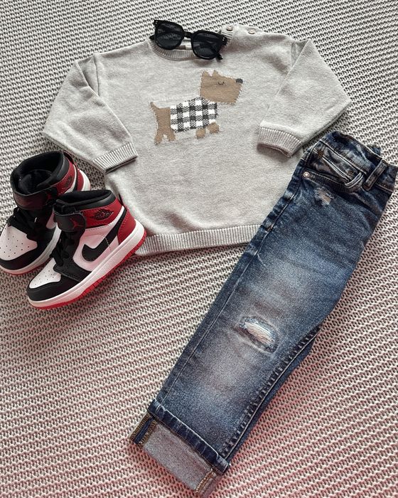 H&M sweter chłopięcy szary z pieskiem roz.92