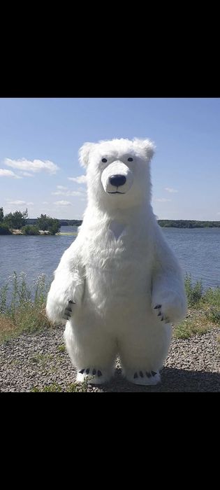 Pozdrowienia od Białego Misia