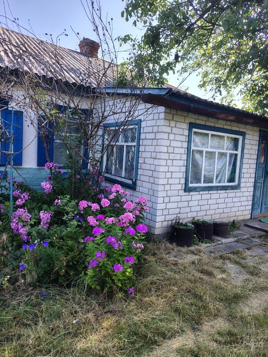 Продається будинок в с.Тимченки Черкаської обл .