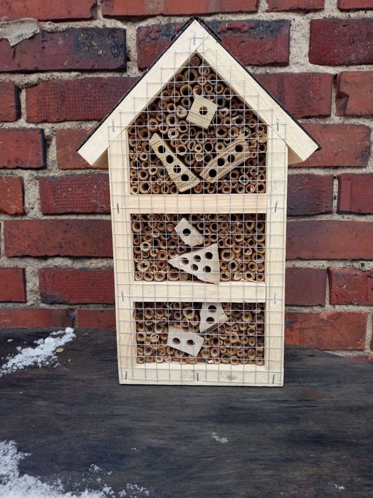 ekohotele dla pszczół murarek