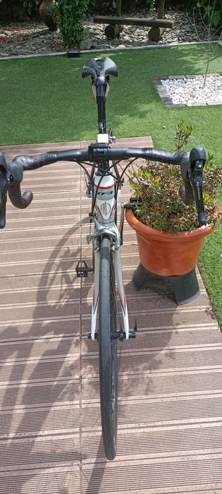 Biblioteca em carbono, tamanho S