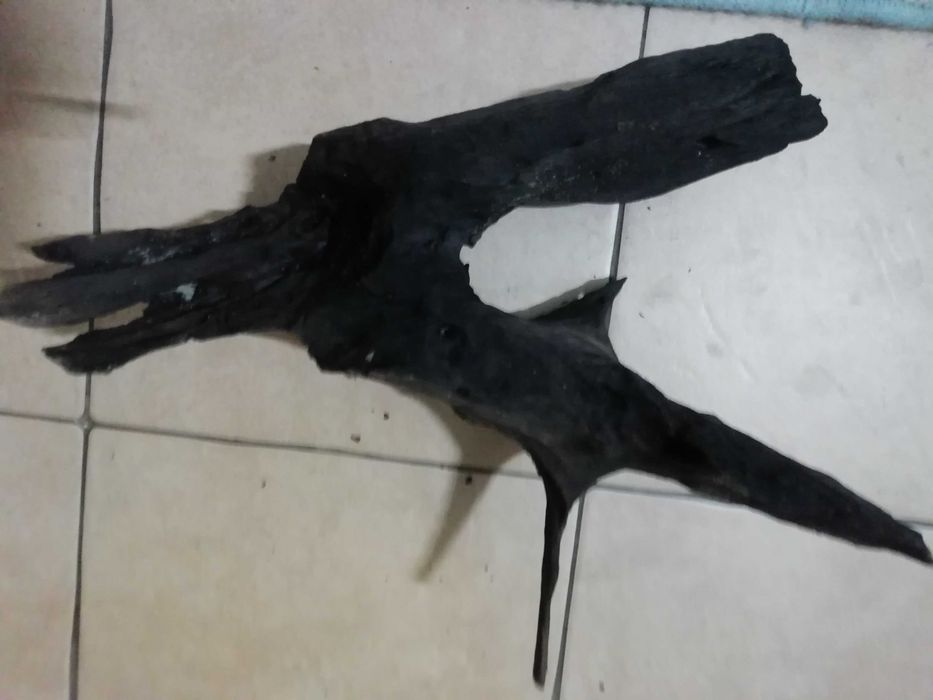 tonący korzeń o wymiarach 40x35x17