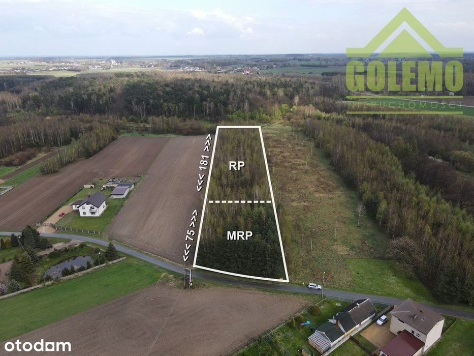 Działka Budowlano-Rekreacyjna / 8900 m² / Łochynia - Widok 3