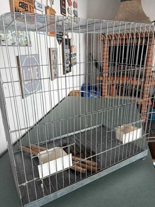 Gaiola grande (papagaio)