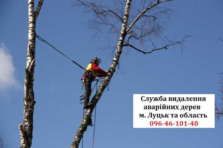 Видалення зрізання спил обрізка кронування валка дерев