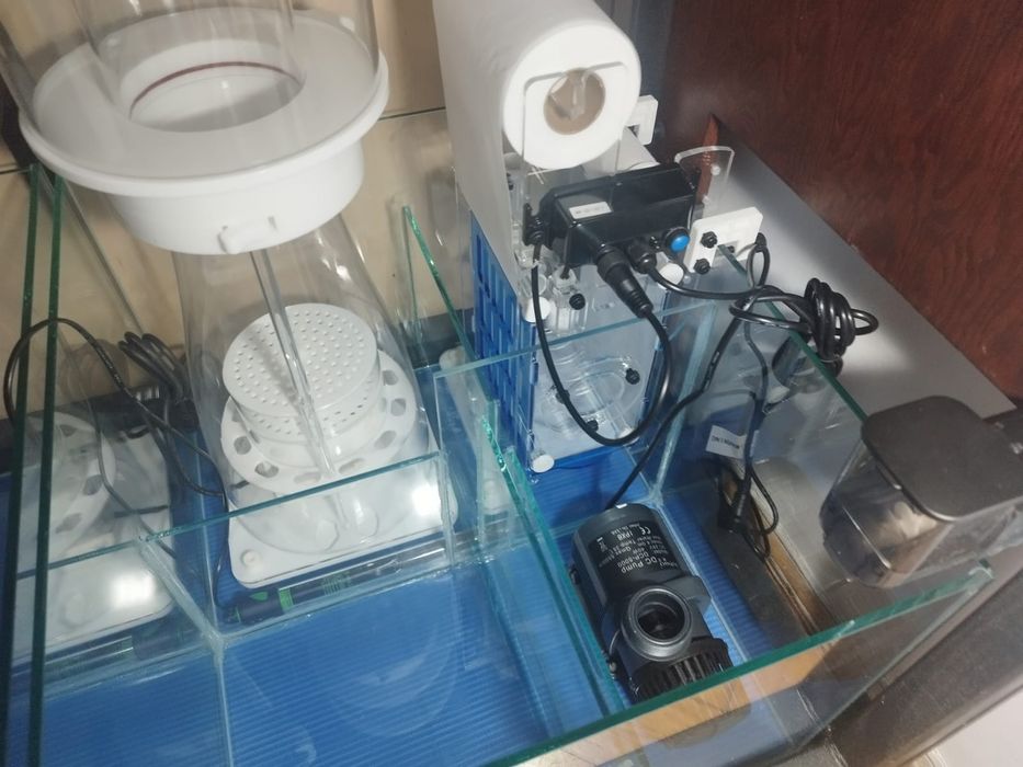 Zestaw akwarium morskie 350l prawie kompletne sump warte ponad 10000zł