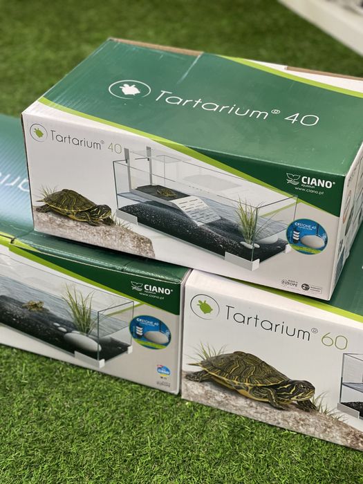 Tartarugueira Ciano 40 e 60