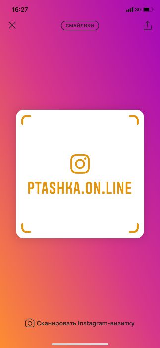 Подвесная кормушка для птиц «Птаshka»