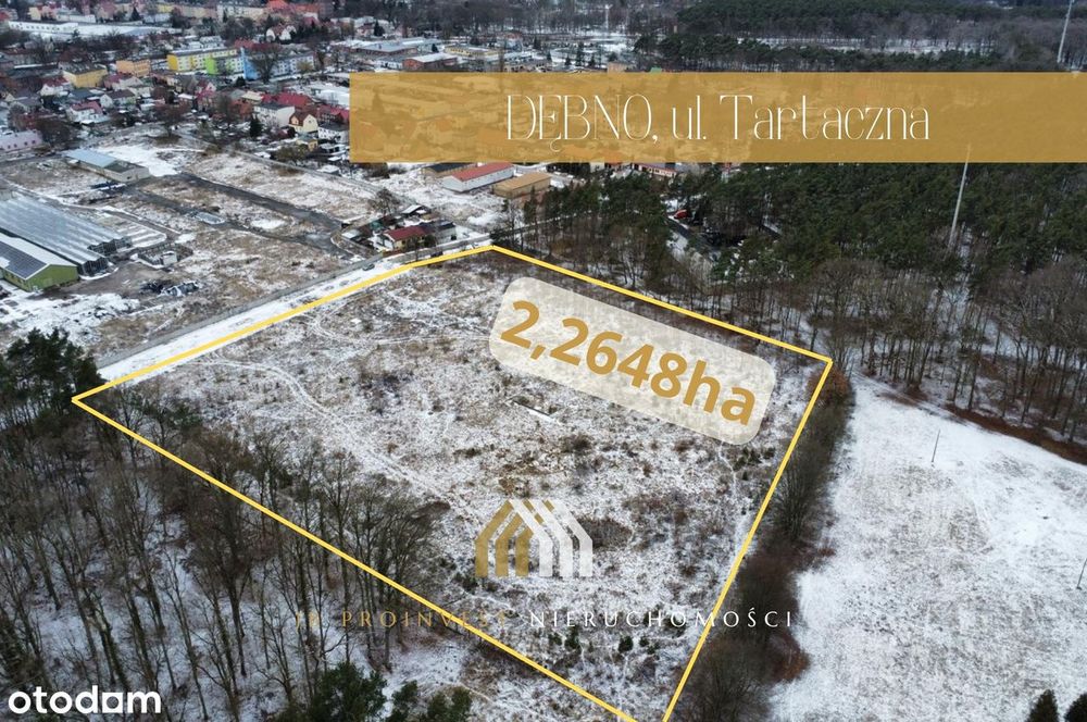 Działka inwestycyjna 2,26 ha – Dębno, DWZ + koncepcja zabudowy
