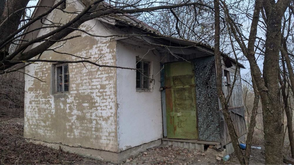 Земельна ділянка Великі Грибовичі терміновий продаж