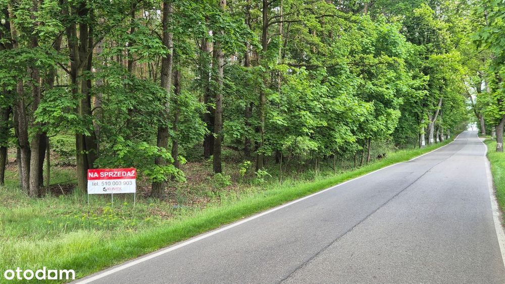 Działka budowlana - Dąbrówka - gmina Wielowieś