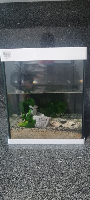Aquário c/ extras 30x30x35