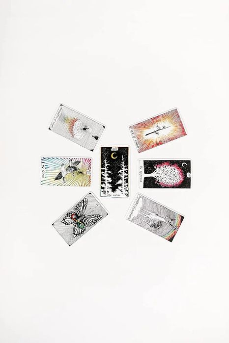 Tarot The Wild Unknown - Kim Krans baralho (bolso) NOVO -PORTES GRÁTIS