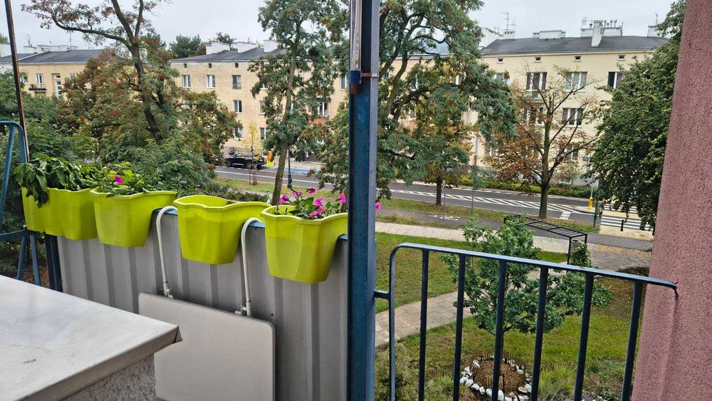 Zdjęcie 8