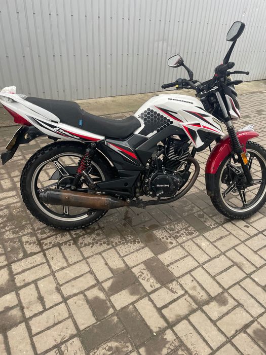 Продам мустанг 200мт