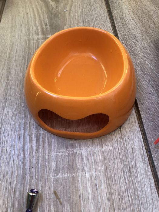 comedouro cao ou gato pequeno