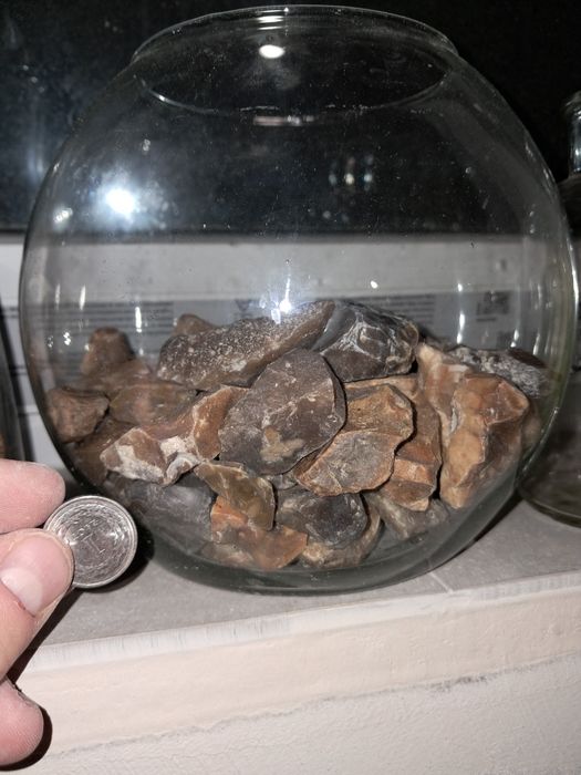 Skamieniałości, krzemienie i minerały