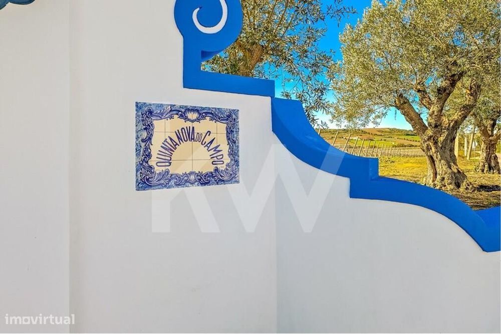 Vineyard Estate of 35.74 ha, Fully Operational, Located 30 Minutes from Lisbon