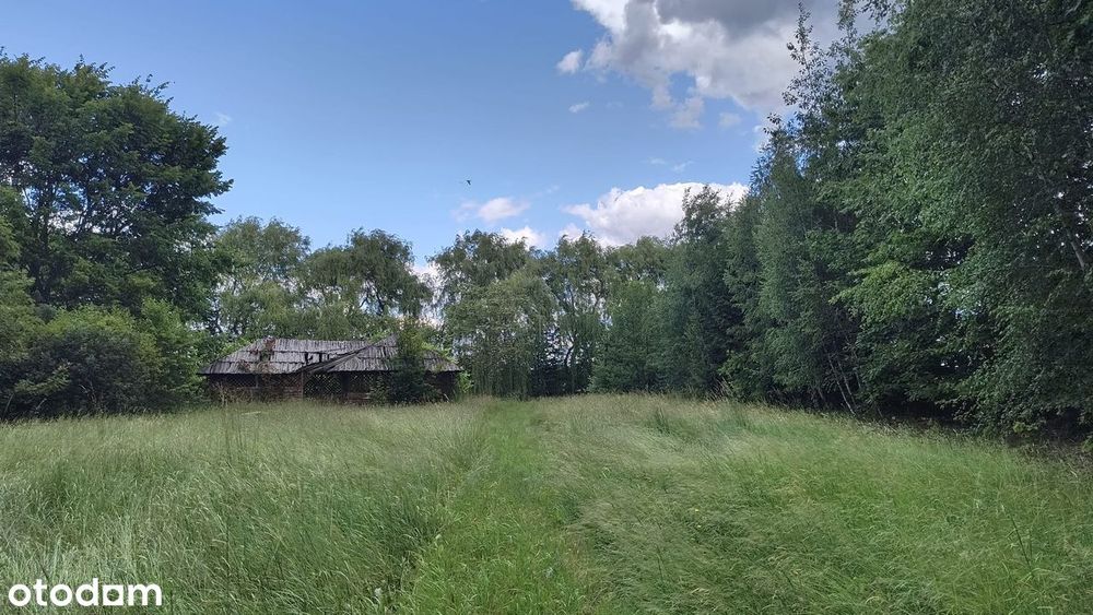 Sprzedam podzieloną działkę w Jedlińsku - Więcej