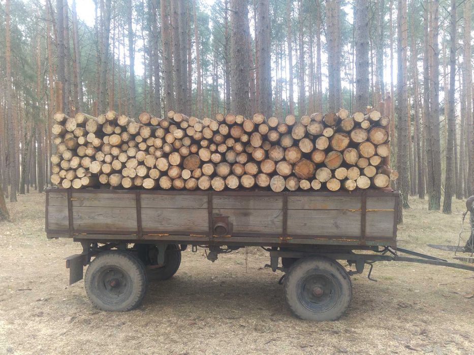 Sprzedam drewno opał