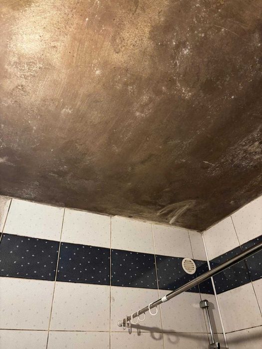 Deratyzacja Dezynsekcja Ozonowanie Odgrzybianie Fumigacja Gazowanie