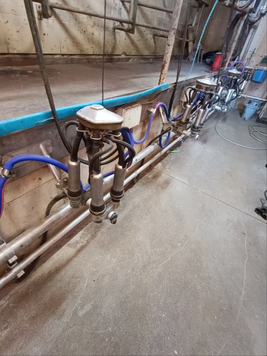 Hala udojowa De Laval 2x5 rybia ość