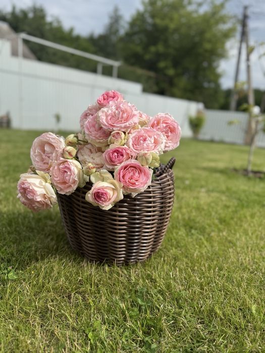 Кашпо з  ротангу Вазон з ротангу новорічний вінок  кошик великодній