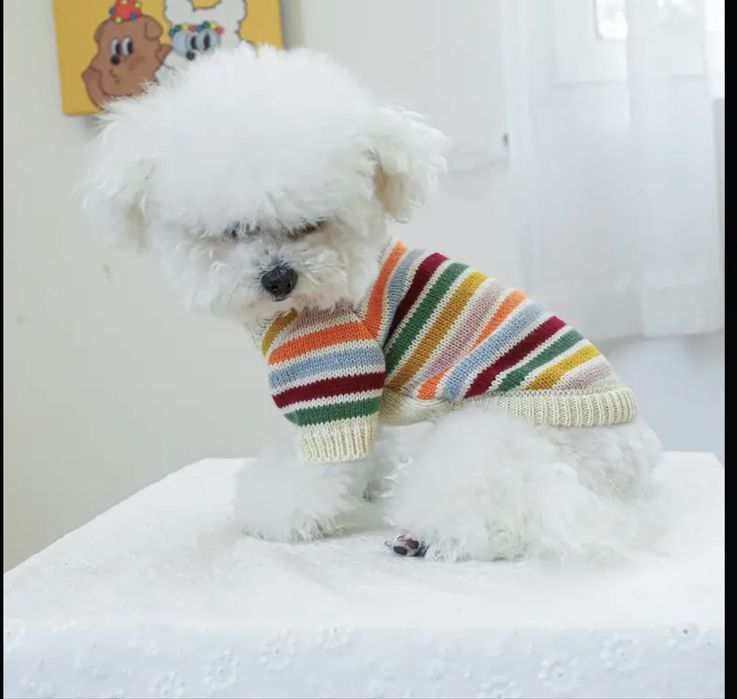 Пакет вещей на маленькую собачку или кошку,кофта ,худи ,майка дождевик