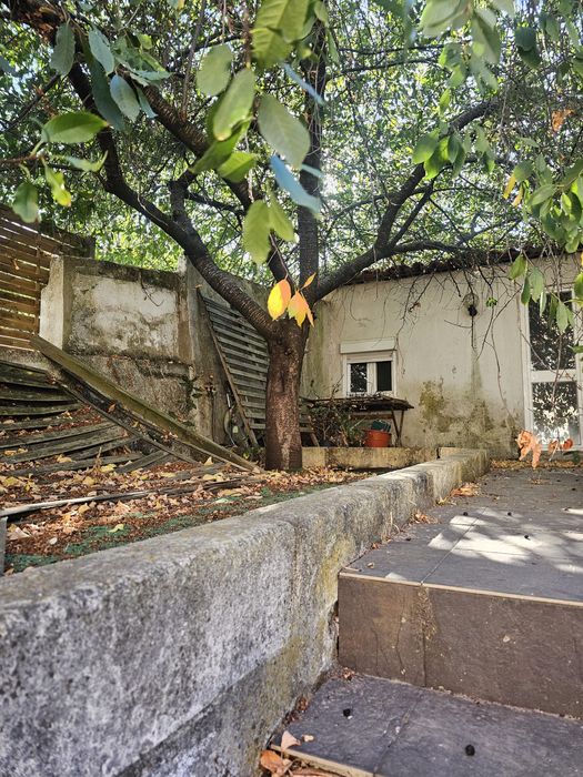 Trabalhos de jardinagem e podas de árvores