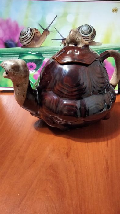 Черепаха чайник заварник глиняний сувенір декор