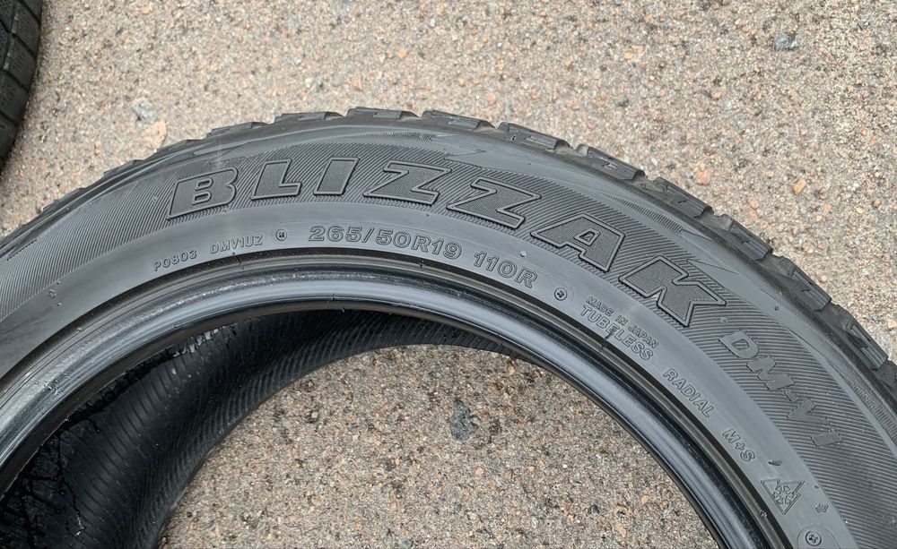 Шини Bridgestone Blizzak DM-V1 265/50 R19