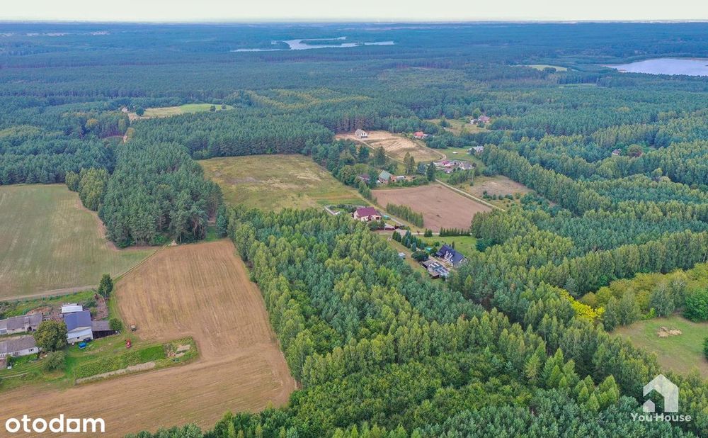 Las w Tereszewie - 1,38 ha