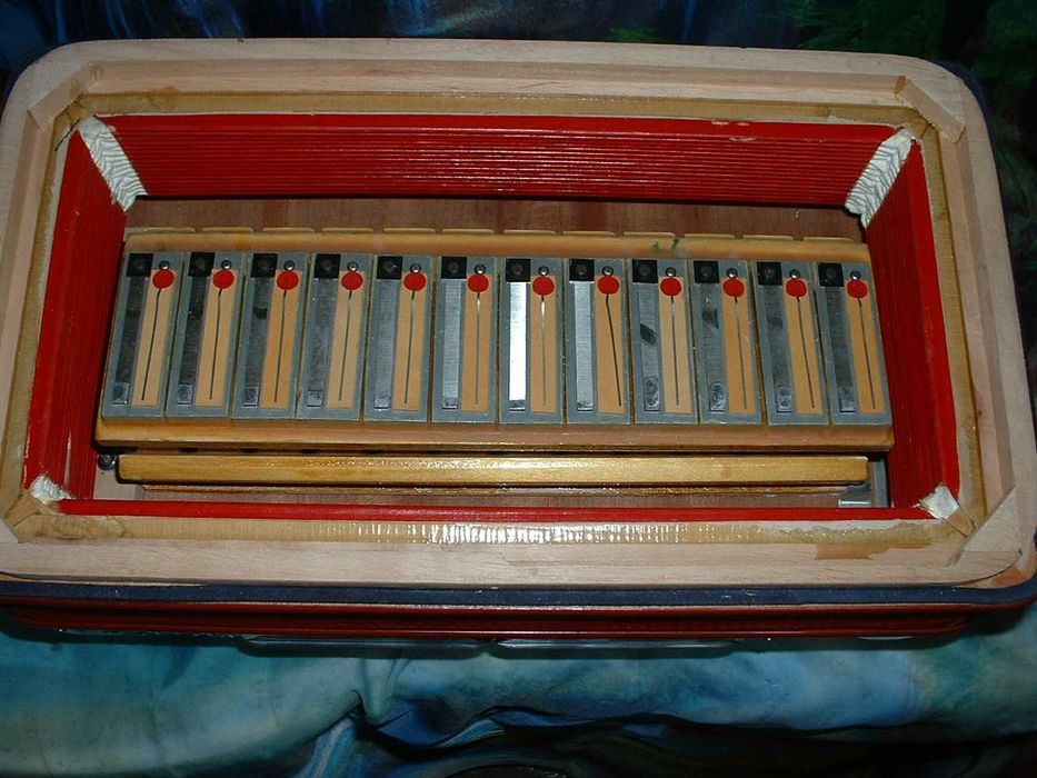 Acordeao Avenda G .749