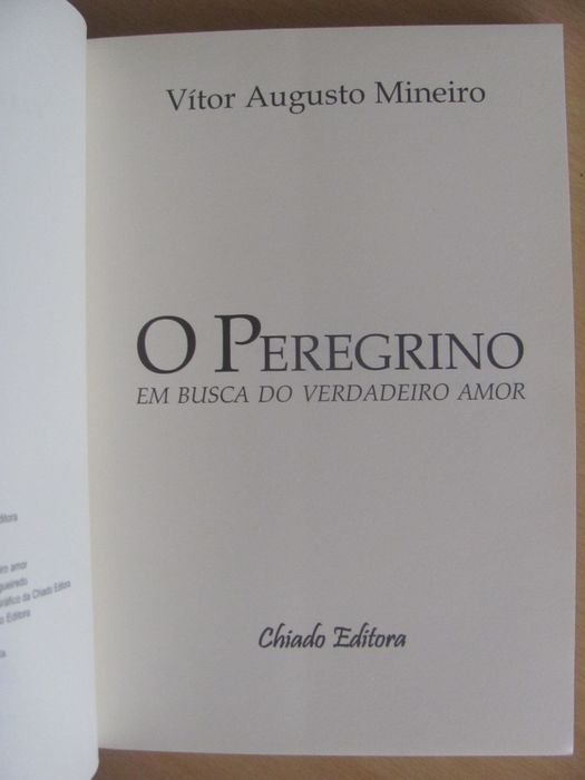 O Peregrino de Vítor Augusto Mineiro