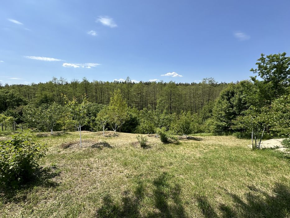 Віта-Поштова ділянка 2.1 Га, біля заповідника, ліс, сосни, комунікаціі