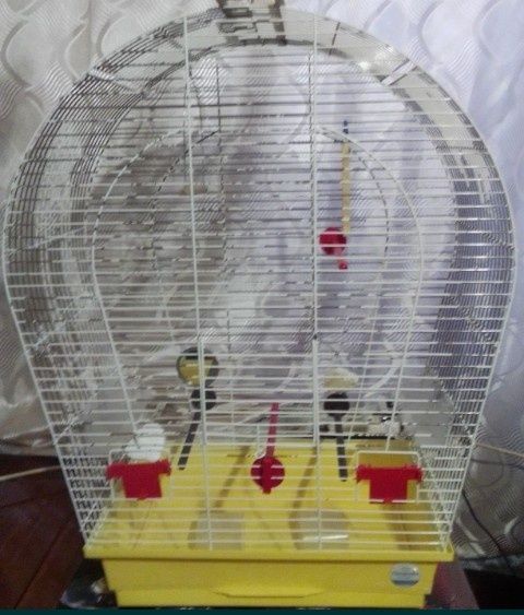 Клетки , когтеточка