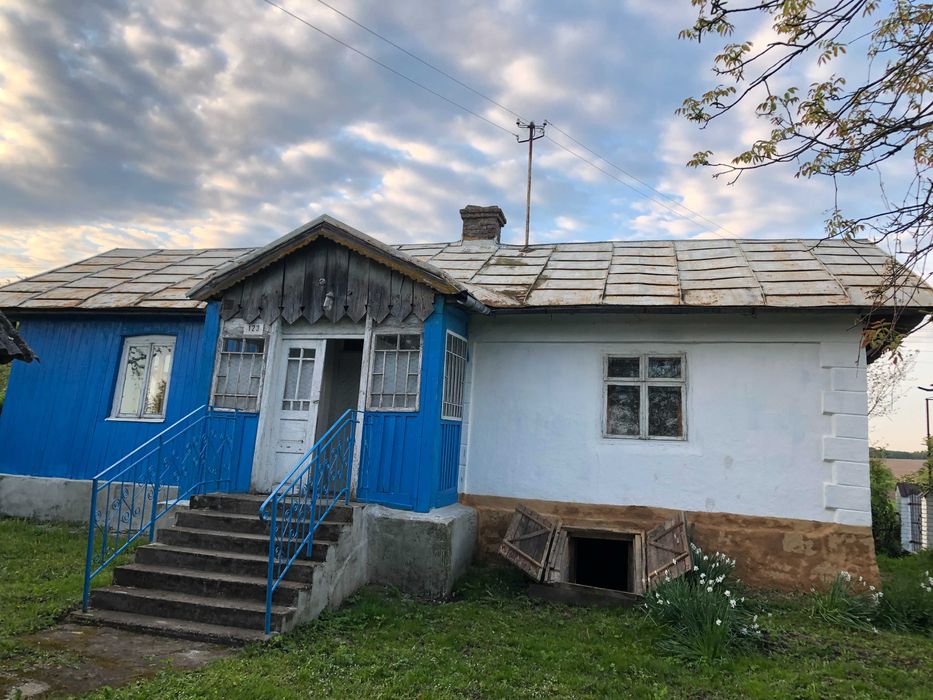 Приватний будинок з присадибною ділянкою