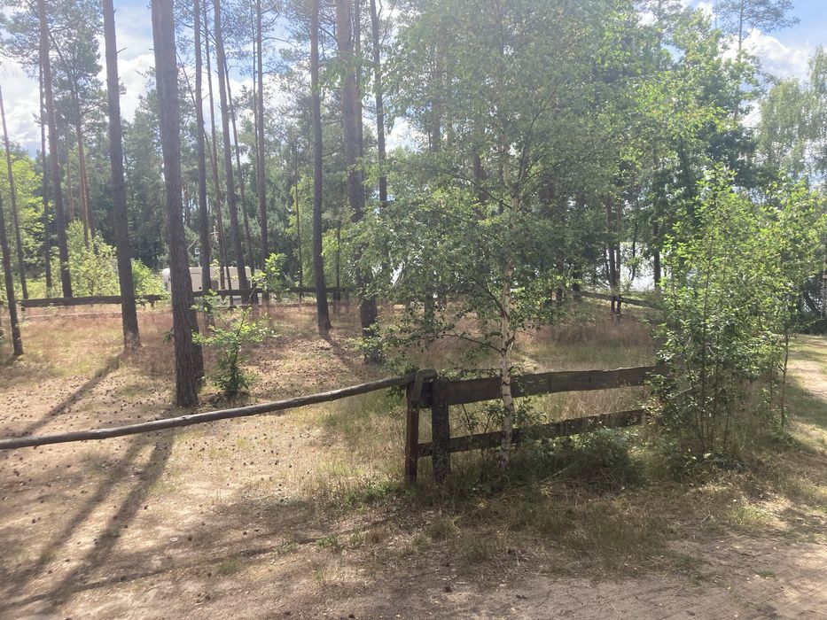 Wynajme dzialki nad jeziorem - Widok 3