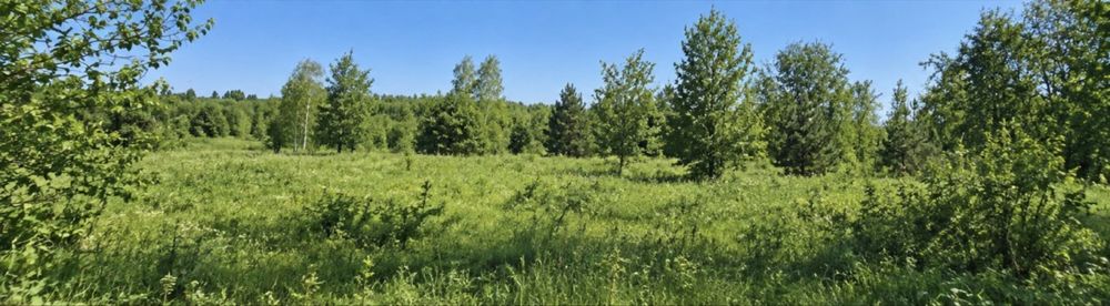 Земельна ділянка 2,5 га у Завалівці
