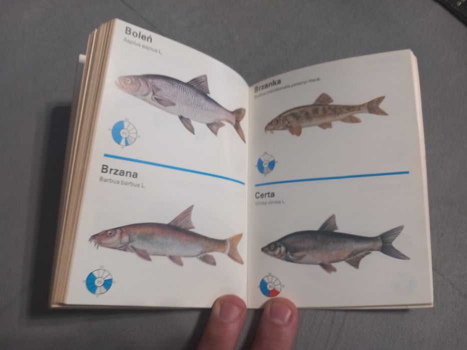 Kalendarz wędkarza 1982r.